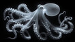 A black and white x-ray of a large octopus