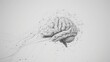 A minimalist portrayal of a brain