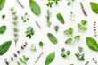 © LimeSky - Assorted fresh herbs arranged in a creative pattern on a white background Top view flat lay Representing healthy eating and alternative medicine