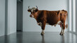 image of a fat cow, 4K resolution 9