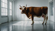 image of a fat cow, 4K resolution 19