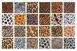 Animal print. Safari patterns, tiger skin texture. Wild giraffe, leopard zebra or jaguar fur, zoo stripes. Natural colors textile, wrapping paper, wallpaper. Print for fabric. Vector background