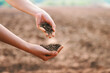 Two hands holding dirt in a field