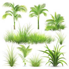 Wall Mural - tropical vegetation grass 