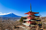 Fototapeta Nowy Jork - 富士山と五重塔　富士吉田