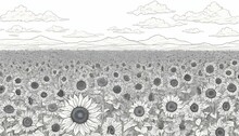 A Line Art Illustration Of A Field Of Sunflowers  2