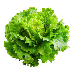 Wall Mural - Fresh lettuce isolated on transparent background