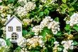 The symbol of the house hangs among the flowering branches of Spirea
