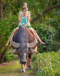Beautiful Asian Thai females wear traditional farmer outfits and ride buffalo are happy to practice farming learn about the life of farmers.