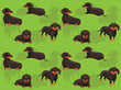 Dog Dachshund Brown Chocolate Tan Beige Cartoon Cute Seamless Wallpaper Background