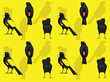 Bird Cacique Cartoon Cute Seamless Wallpaper Background