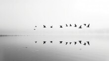 A Flock Of Birds Soaring High Above A Tranquil Lake, Their Silhouettes Reflected In The Calm Waters Below.