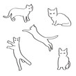 © so - cat line illust simple drawing