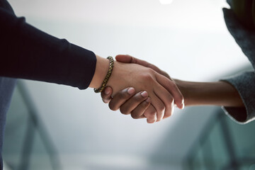 Wall Mural - Shaking hands, deal and business people in office for agreement, partnership and welcome for introduction. Recruitment, meeting and hr with candidate for onboarding or hiring handshake in workplace.