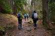 HIkers with backpacks on a trail in a rainy day