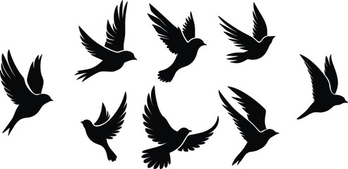 Wall Mural - Flying birds silhouette set, vector illustration.