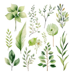 Wall Mural - boho greenery clipart watercolor green floral for woodland wedding, country natural cards, mother's 