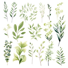 Wall Mural - boho greenery clipart watercolor green floral for woodland wedding, country natural cards, mother's 