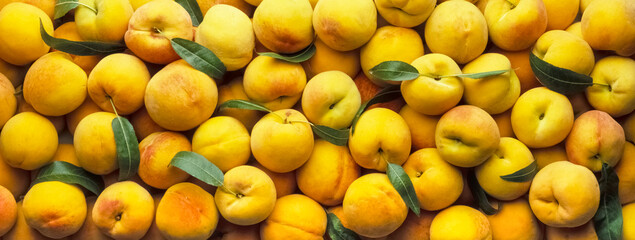 Group of yellow peaches with leaves