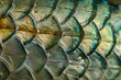Microscopic View of Overlapping Fish Scale Layers
