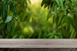 Wooden table with green leaf of mango tree background