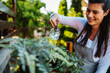 One young caucasian woman is taking care of her plants using plant mister and water can