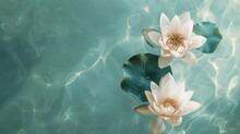 Floating Lotus Pair, Tranquil Turquoise Background, Meditation Magazine Cover, Gentle Side Lighting, Overhead Composition