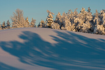 Wall Mural - Winter time in the cultural landscape of Toten, Norway, in January. Image shot in the area between Kolbu Church and Gardlausstua.