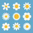 White chamomile icon. Daisy Camomile set. Cute round flower head plant collection. Love card symbol. Growing concept. Simple flat design. Nature childish style. Isolated. Blue background. Vector