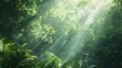 Lush summer forest with streaming sunlight