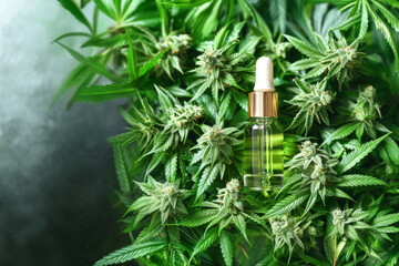 A clear glass dropper bottle with a golden cap is nestled among vibrant green cannabis plants