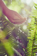 Outdoor, person and hands with plants, cleaning and sunshine with spring, hygiene and environment. Closeup, water and lens flare with splash, ecology and wet with nature, prevent germs and sunshine