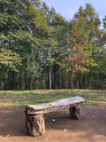 Fototapeta Tulipany - old wooden bench in the park
