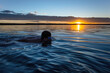 Morning swim: swimmer dives into calm waters as sun peeks over horizon.