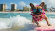 Cute French Bulldog Wearing Sunglasses and Floral Lei at Tropical Beach, Enjoying Summer Surf
