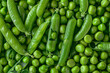 Fresh garden peas forming a vibrant green background texture: healthy, eating, vegetables fresheners nutrition balance diet.