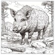 boar drawing Coloring book page