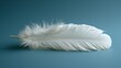   A white feather atop a blue table against a light blue wall and backdrop