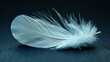   A white feather against a black background, its edge softly blurred by approaching light originating from the feather's center