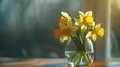 Fresh Yellow Narcissus Flowers in Glass Vase Indoors