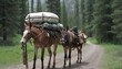 A Mule With A Pack Saddle Loaded With Supplies Fo Upscaled 5