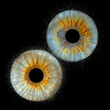 © adidaniel - Close up of eye iris on black background, macro, photography