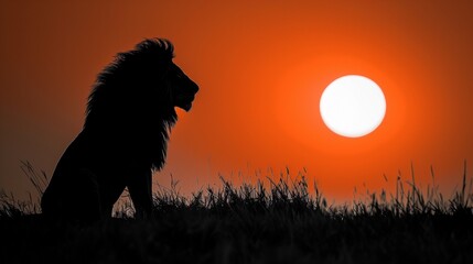 Poster - Silhouetted lion sitting on a grassy field at sunset, AI-generated.