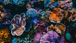 A diverse coral garden, teeming with vibrant hues, varied shapes, and sizes.