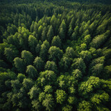 Fototapeta Las - Aerial view of green forest, Generative AI