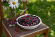Summer mixed berries cake