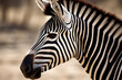 Close-up view of zebra generative AI