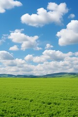 Wall Mural - Green field and blue sky