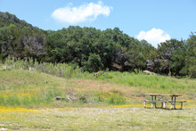 Peaceful Texas Landscape With Trees, Flowers, Picnic Table, And Partly Cloudy Skies