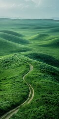 Poster - Curving Dirt Road Through Green Grassy Hills